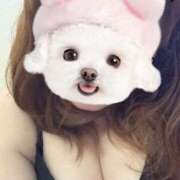 ヒメ日記 2025/05/17 13:05 投稿 あいり ぷよラブ れぼりゅ～しょん