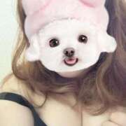 ヒメ日記 2025/05/19 20:30 投稿 あいり ぷよラブ れぼりゅ～しょん