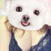 ヒメ日記 2025/08/24 12:06 投稿 あいり ぷよラブ れぼりゅ～しょん