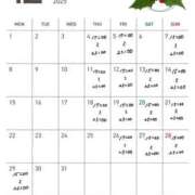 ヒメ日記 2025/12/02 18:37 投稿 あいり ぷよラブ れぼりゅ～しょん