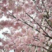 ヒメ日記 2025/03/27 20:36 投稿 カービィ クラブバレンタイン神戸西店