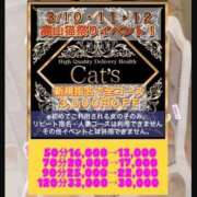 ヒメ日記 2025/03/11 13:30 投稿 さくら【高山出発】 Cat's高山店