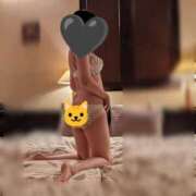 ヒメ日記 2025/03/25 13:30 投稿 さくら【高山出発】 Cat's高山店