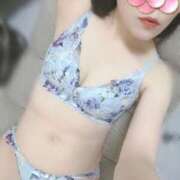 ヒメ日記 2025/04/13 22:00 投稿 さくら【高山出発】 Cat's高山店