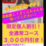 ヒメ日記 2025/04/14 13:30 投稿 さくら【高山出発】 Cat's高山店