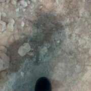 ヒメ日記 2025/12/16 19:26 投稿 ゆいな お姉さんSelect