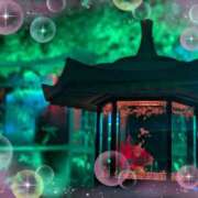 ヒメ日記 2025/08/15 14:42 投稿 みくり 池袋あられ