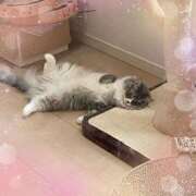 ヒメ日記 2025/09/16 15:57 投稿 みくり 池袋あられ