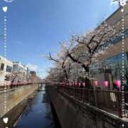 ヒメ日記 2026/04/14 16:27 投稿 りろ 池袋あられ