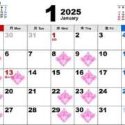 ヒメ日記 2024/12/25 19:06 投稿 りお【殿堂入り】 クラブKG