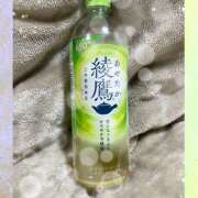 ヒメ日記 2025/01/31 17:00 投稿 熟女 かえで ハナミズキ