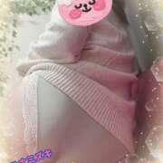 ヒメ日記 2025/03/05 14:14 投稿 熟女 かえで ハナミズキ