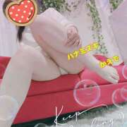 ヒメ日記 2025/05/28 19:38 投稿 熟女 かえで ハナミズキ