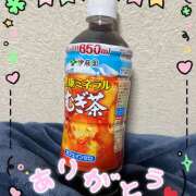 ヒメ日記 2025/06/14 13:56 投稿 熟女 かえで ハナミズキ