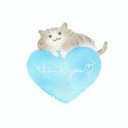 ヒメ日記 2025/07/13 17:16 投稿 熟女 かえで ハナミズキ