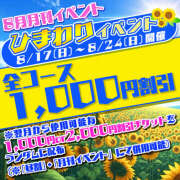 ヒメ日記 2025/08/24 16:24 投稿 熟女 かえで ハナミズキ