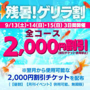 ヒメ日記 2025/09/15 16:34 投稿 熟女 かえで ハナミズキ