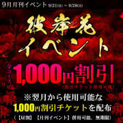 ヒメ日記 2025/09/26 20:04 投稿 熟女 かえで ハナミズキ