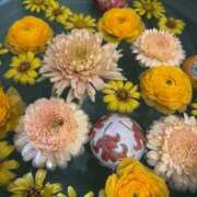 ヒメ日記 2025/02/25 11:33 投稿 かなで 三重松阪ちゃんこ