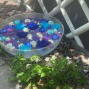 ヒメ日記 2025/03/12 10:33 投稿 かなで 三重松阪ちゃんこ