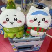 ヒメ日記 2025/03/18 15:13 投稿 かなで 三重松阪ちゃんこ