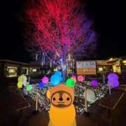 ヒメ日記 2025/03/28 08:43 投稿 かなで 三重松阪ちゃんこ