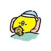 ヒメ日記 2025/03/29 10:53 投稿 かなで 三重松阪ちゃんこ