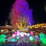 ヒメ日記 2025/03/30 22:43 投稿 かなで 三重松阪ちゃんこ