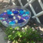 ヒメ日記 2025/04/04 14:13 投稿 かなで 三重松阪ちゃんこ