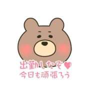 ヒメ日記 2025/04/07 14:13 投稿 かなで 三重松阪ちゃんこ