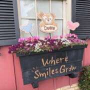 ヒメ日記 2025/07/10 08:33 投稿 かなで 三重松阪ちゃんこ