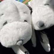 ヒメ日記 2025/07/24 23:53 投稿 かなで 三重松阪ちゃんこ