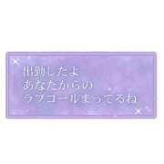 ヒメ日記 2025/07/30 16:13 投稿 かなで 三重松阪ちゃんこ