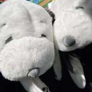 かなで 到着✨ 三重松阪ちゃんこ