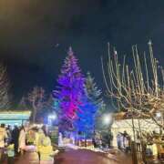 ヒメ日記 2024/12/17 22:54 投稿 RUMINA（るみな） UTAKATA