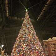 ヒメ日記 2024/12/18 03:50 投稿 RUMINA（るみな） UTAKATA