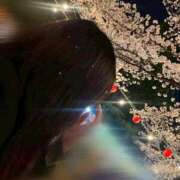 ヒメ日記 2025/04/14 01:18 投稿 ソウ マドンナ(仙台)