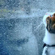 みわ 完熟バナナ川崎店みわです。 完熟ばなな 横浜