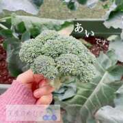 ヒメ日記 2024/12/14 15:24 投稿 あい 天使のゆびさき 船橋店(カサブランカグループ)