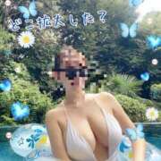 ヒメ日記 2025/05/09 00:05 投稿 松友 あんり RANUNCULUS(ラナンキュラス)