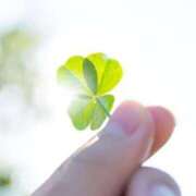 ヒメ日記 2025/09/17 01:25 投稿 逢沢 ゆう RANUNCULUS(ラナンキュラス)