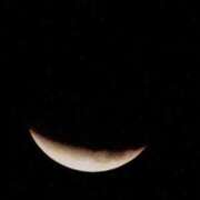 ヒメ日記 2025/09/25 04:45 投稿 逢沢 ゆう RANUNCULUS(ラナンキュラス)