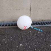 ヒメ日記 2025/09/26 22:45 投稿 逢沢 ゆう RANUNCULUS(ラナンキュラス)