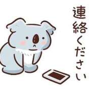 ヒメ日記 2025/11/10 01:05 投稿 逢沢 ゆう RANUNCULUS(ラナンキュラス)