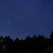 ヒメ日記 2025/05/04 04:05 投稿 萩野 あまね RANUNCULUS(ラナンキュラス)