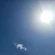 ヒメ日記 2025/05/05 13:35 投稿 萩野 あまね RANUNCULUS(ラナンキュラス)