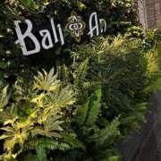 ヒメ日記 2025/06/07 01:25 投稿 萩野 あまね RANUNCULUS(ラナンキュラス)