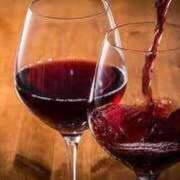 ヒメ日記 2025/07/30 16:15 投稿 萩野 あまね RANUNCULUS(ラナンキュラス)