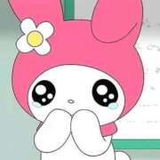 ヒメ日記 2025/05/06 13:25 投稿 音嶋 かりん RANUNCULUS(ラナンキュラス)