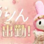 ヒメ日記 2025/05/24 13:22 投稿 音嶋 かりん RANUNCULUS(ラナンキュラス)